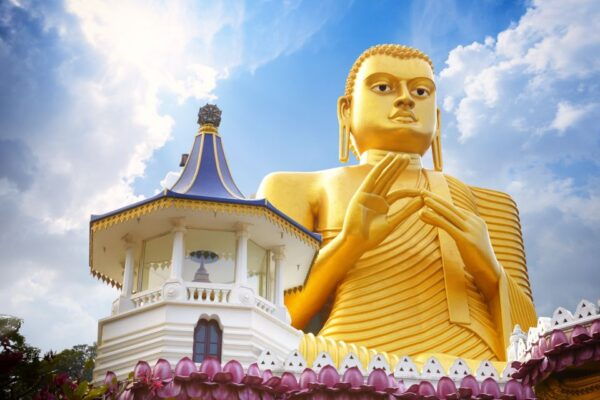 From Negombo: Sigiriya and Dambulla Day Trip - The Sum Up