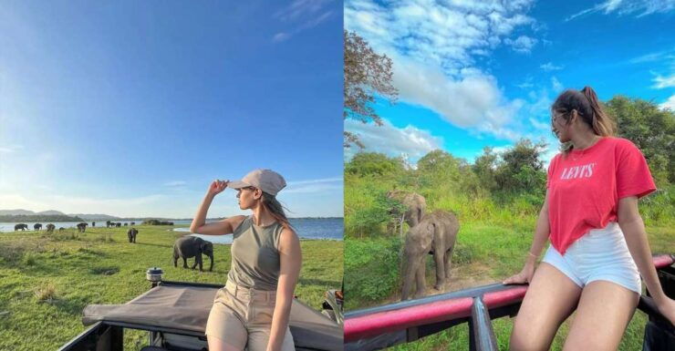 From Negombo: Sigiriya Dambulla and Village Safari Day Tour - Reservation and Payment Details