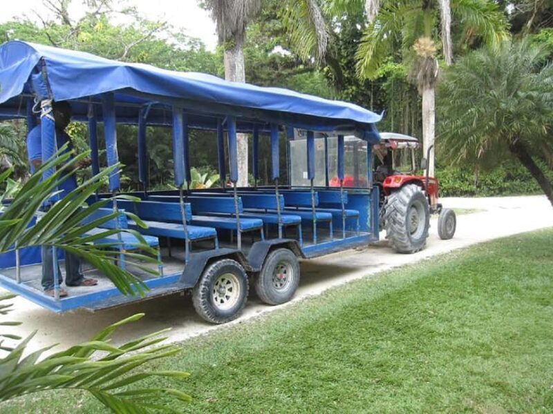 From Negril: YS Falls and the Pelican Bar - Practical Details and Tips