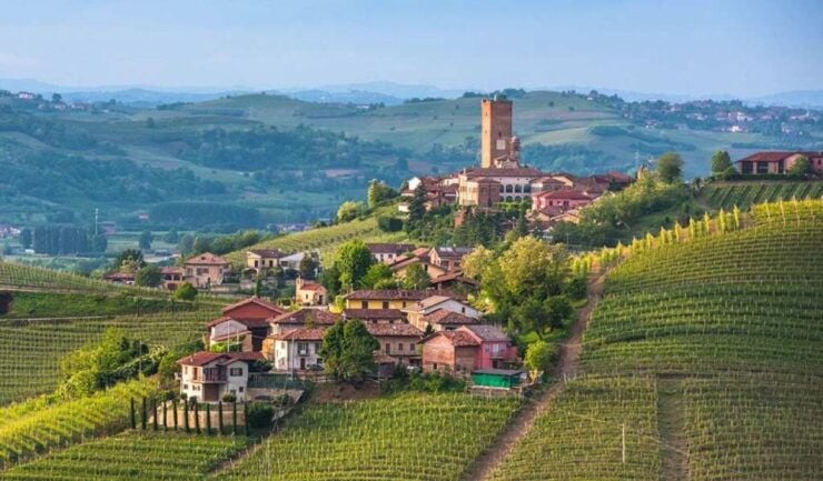 From Neive: Guided E-Bike Tour to Barbaresco and Treiso - Good To Know