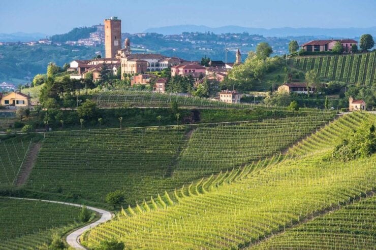 From Neive: Guided E-Bike Tour to Barbaresco and Treiso - Tour Overview
