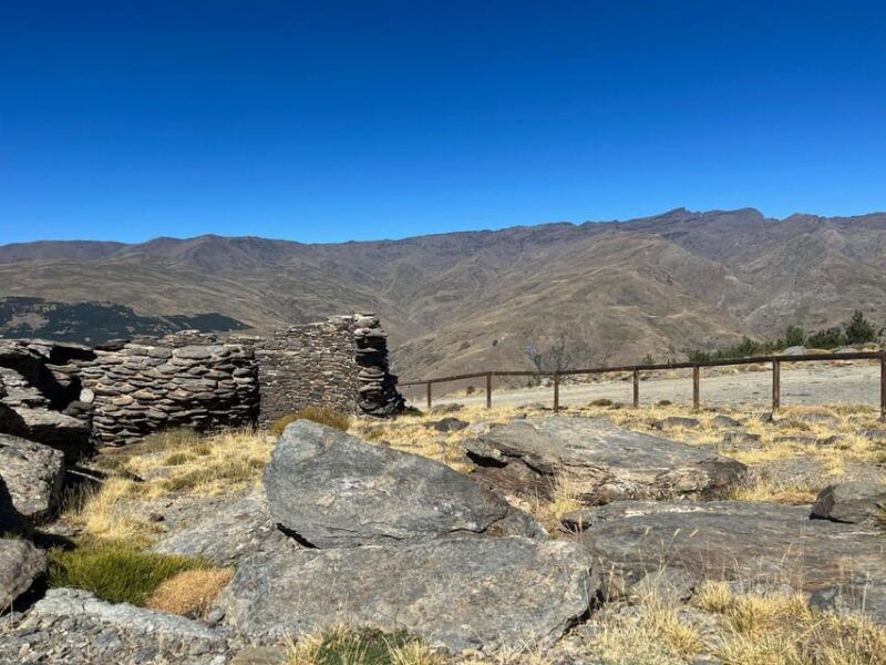 From Nerja/Almunecar: Sierra Nevada and Alpujarra Day Trip - Trip Overview and Pricing