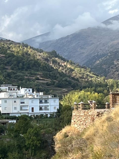 From Nerja/Almunecar: Sierra Nevada and Alpujarra Day Trip - Highlights and Experience