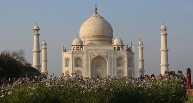 From New Delhi: 5-Day Golden Triangle Trip With Ranthambore - Inclusions