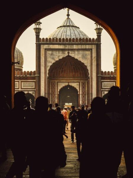 From New Delhi: 5-Day Tiger Safari & Golden Triangle Tour - Frequently Asked Questions