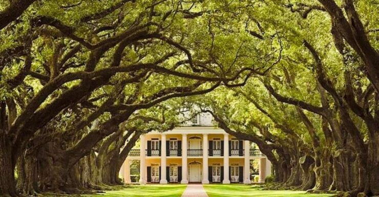 From New Orleans: Oak Alley or Laura Plantation Tour - Tour Duration and Pickup Details