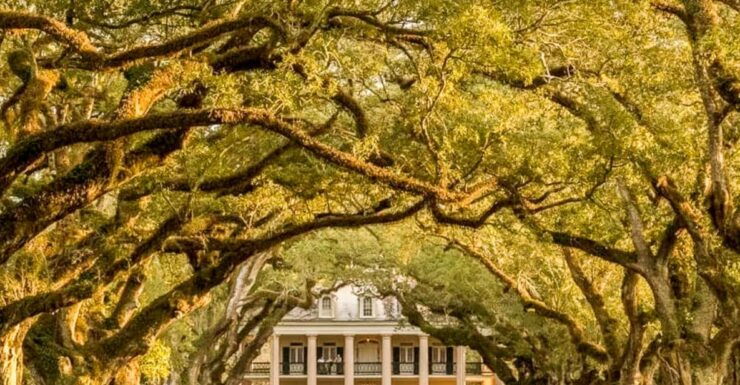 From New Orleans: Oak Alley Plantation Tour - Experience Highlights