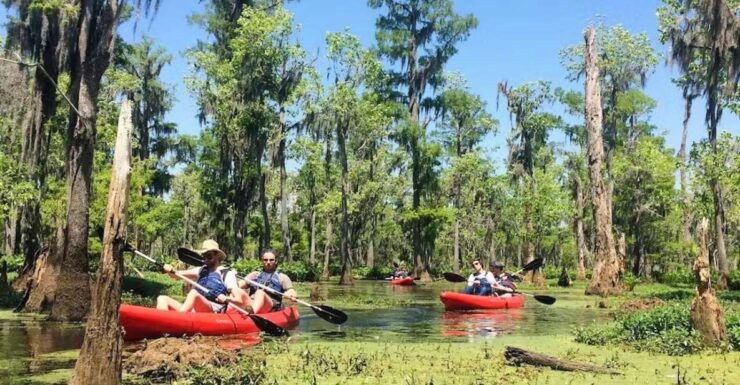 From New Orleans: Whitney Plantation & Kayak Tour Combo - What to Expect