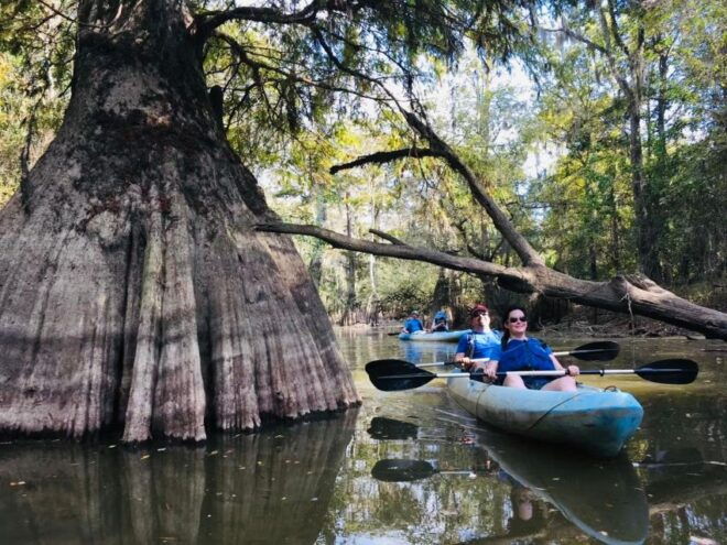 From New Orleans: Whitney Plantation & Kayak Tour Combo - Highlights