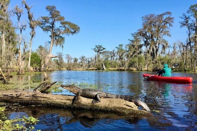 From New Orleans: Whitney Plantation & Kayak Tour Combo - Itinerary