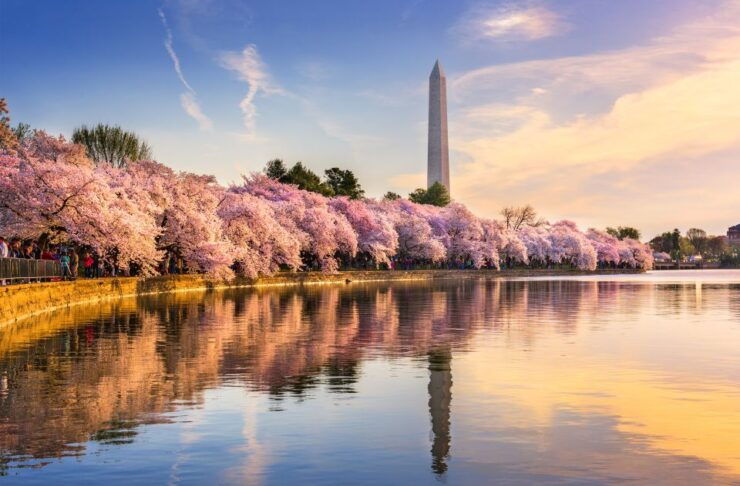From New York City: 5-Day Tour W/Niagara Falls & White House - Tour Highlights