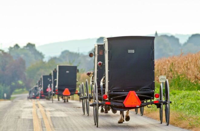 From New York City: 5-Day Tour W/Niagara Falls & White House - Inclusions and Amenities