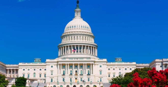 From New York City: Washington and Philadelphia 1-Day Tour - Activities and Attractions in Washington DC and Philadelphia