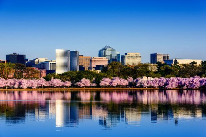 From New York City: Washington and Philadelphia 1-Day Tour - Customer Reviews