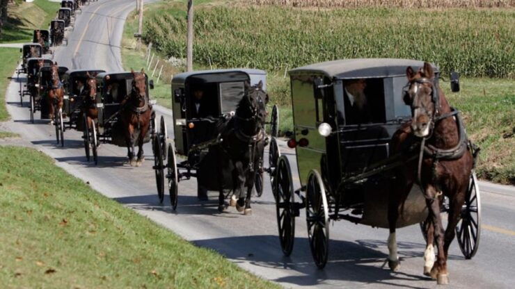 From New York: Philadelphia And Community Amish Day Trip - Experience Highlights