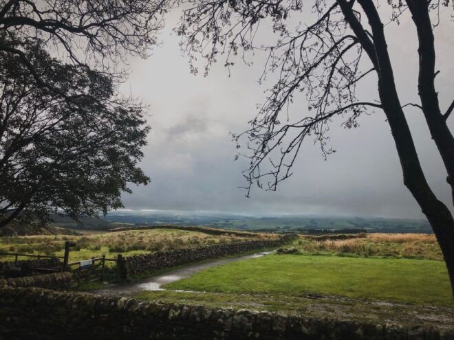From Newcastle: Hadrian's Wall Day Tour - Pickup and Logistics