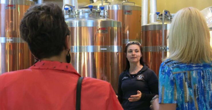 From Newcastle: Hunter Valley Brewery Tour With Lunch - Experience