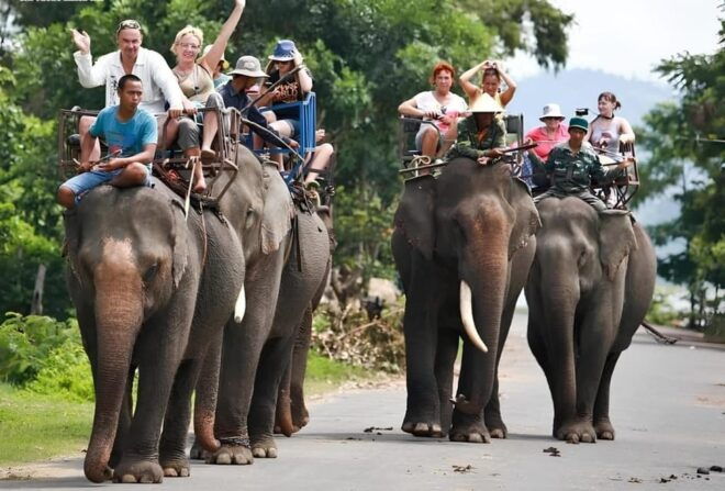 From Nha Trang: 1 Day Dalat Tour - Exclusions to Note