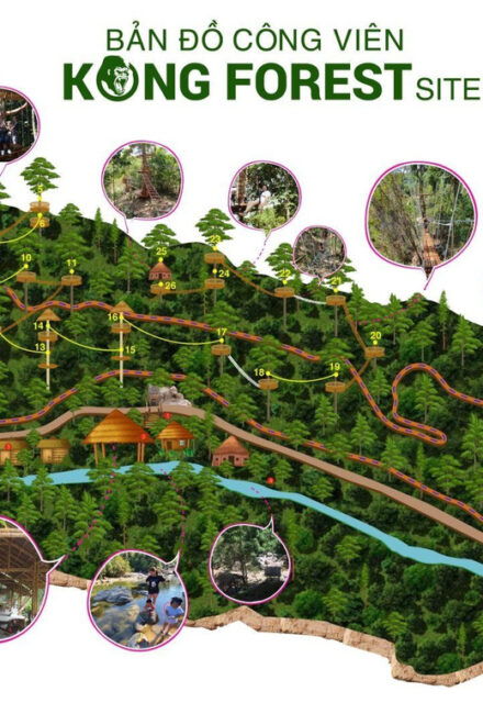 From Nha Trang: 1 Day Trip to KONG FOREST Amusement Park - Adventure Park Features