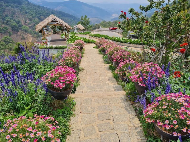 From Nha Trang: Da Lat, Mongo Land, Dalat Flower Highland Day Tour - What the price covers, and what it doesn’t
