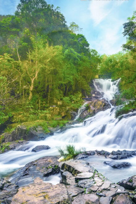 From Nha Trang: Day Trip to Da Lat and Waterfalls - Transportation Options