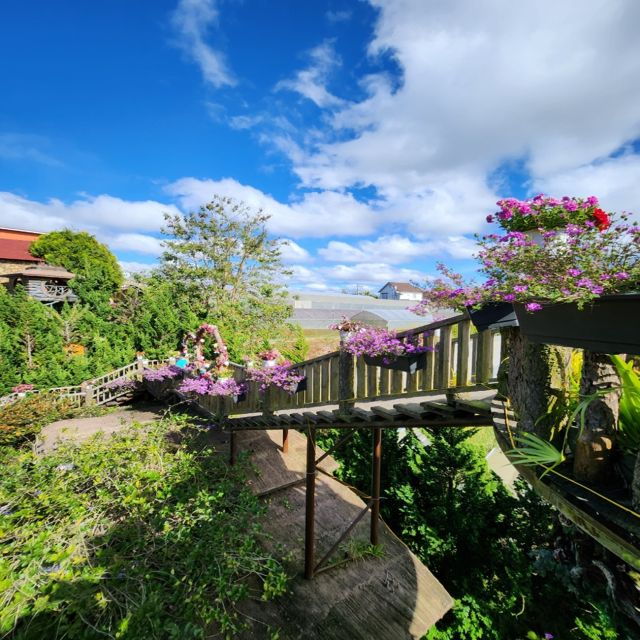 From Nha Trang: Day Trip to Dalat With Lunch - Tour Highlights