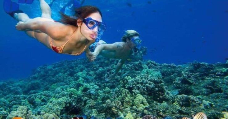 From Nha Trang: Deluxe Ocean Tour Snorkeling, Bbq& Mud Bath - Itinerary at a Glance