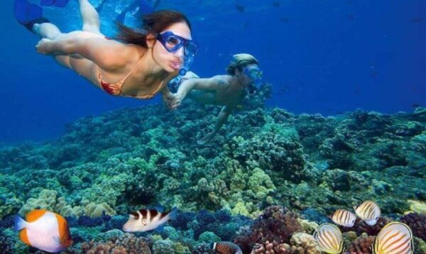 From Nha Trang: Deluxe Ocean Tour Snorkeling, Bbq& Mud Bath - Frequently Asked Questions