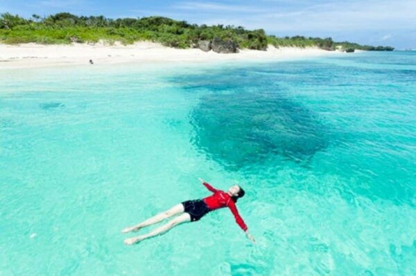 From Nha Trang: Doc Let Beach Full-Day Trip - Tips for Your Trip