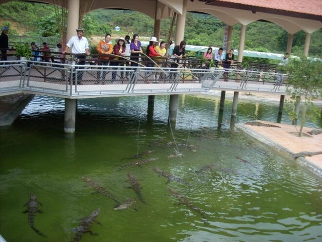 From Nha Trang: Full Day Trip to Yang Bay Waterfall - Amenities Included in the Trip