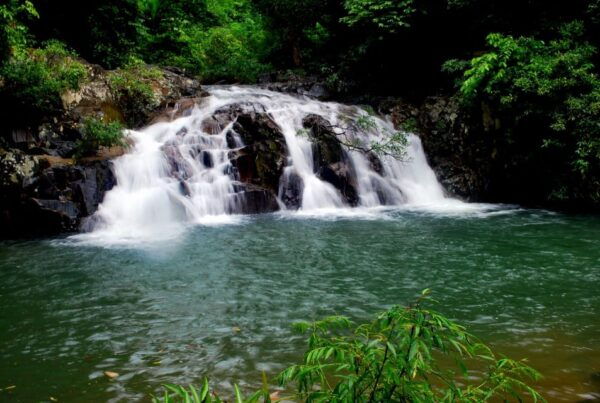 From Nha Trang: Full Day Trip to Yang Bay Waterfall - Tips for a Great Experience