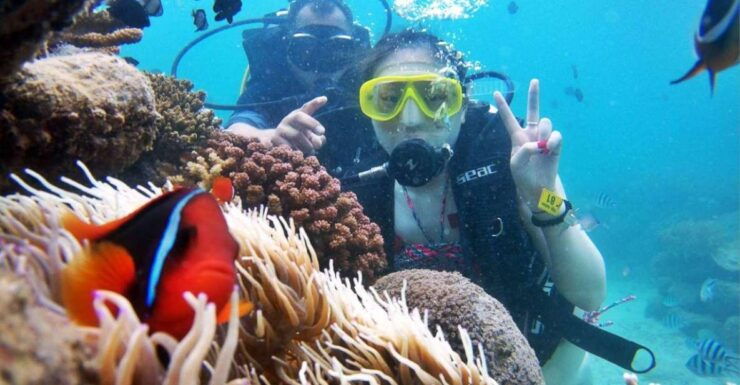 From Nha Trang : Luxury Nha Trang Island Discovery Trip - Experience Highlights