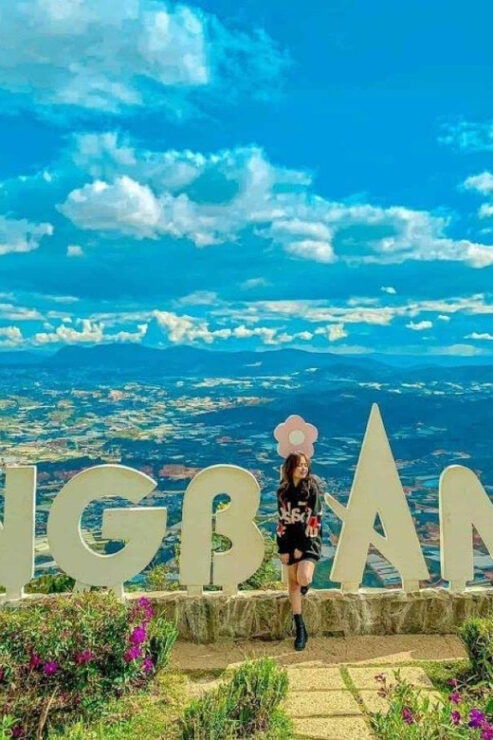 From Nha Trang: Visit Da Lat 1 Day - Overview of the Tour