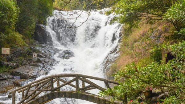 From Nha Trang: Visit Dalat City Of Flowers (Private Car) - Travel Tips for Visitors