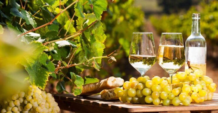 From Nice: Antibes & St Paul De Vence Tour With Wine Tasting - Highlights of Antibes & Provencal Market
