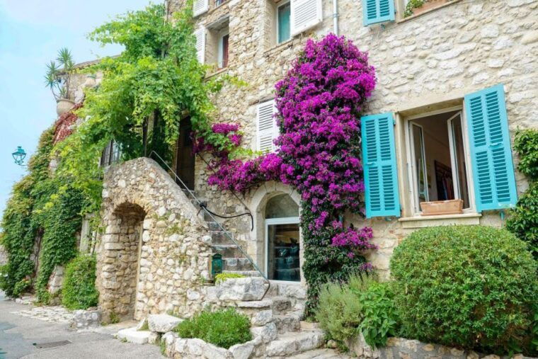 From Nice: Cannes, Antibes & St Paul De Vence Half-Day Tour - Transportation and Pickup