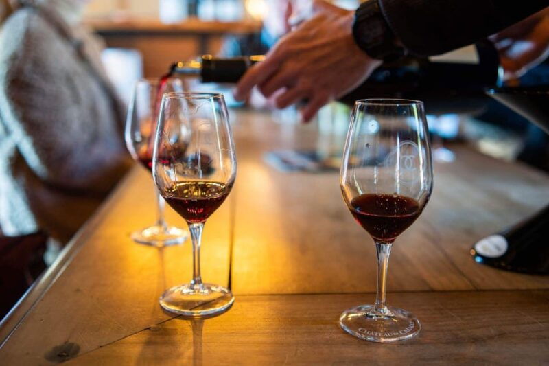 From Nice: Cannes, Saint Paul De Vence and Wine Tasting - Good To Know