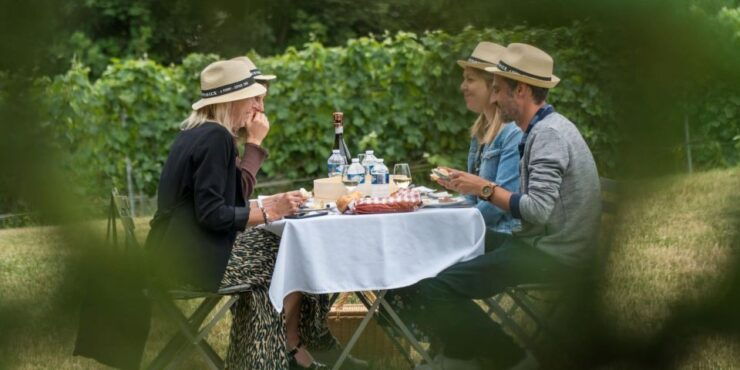 From Nice: Château Vaudois Private Tour With Picnic Lunch - Full Description