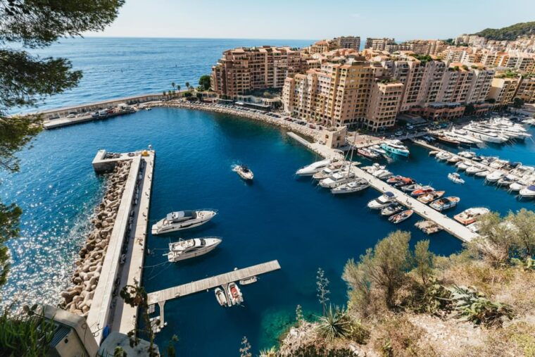 From Nice: Eze, Monaco, & Monte-Carlo Half-Day Trip - Tour Features and Accessibility