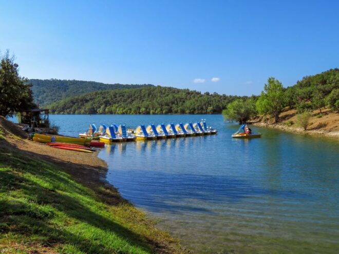 From Nice: Flower Fields & Saint Cassien Lake Full-Day Trip - Additional Experience Details