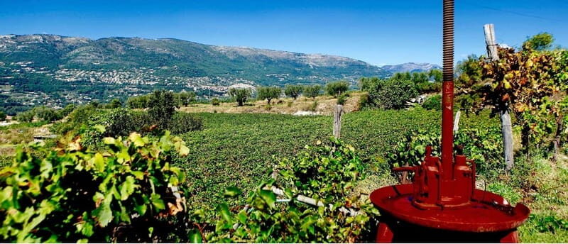 From Nice: Half-Day Wine Tour in the Bellet Wine Region - Good To Know