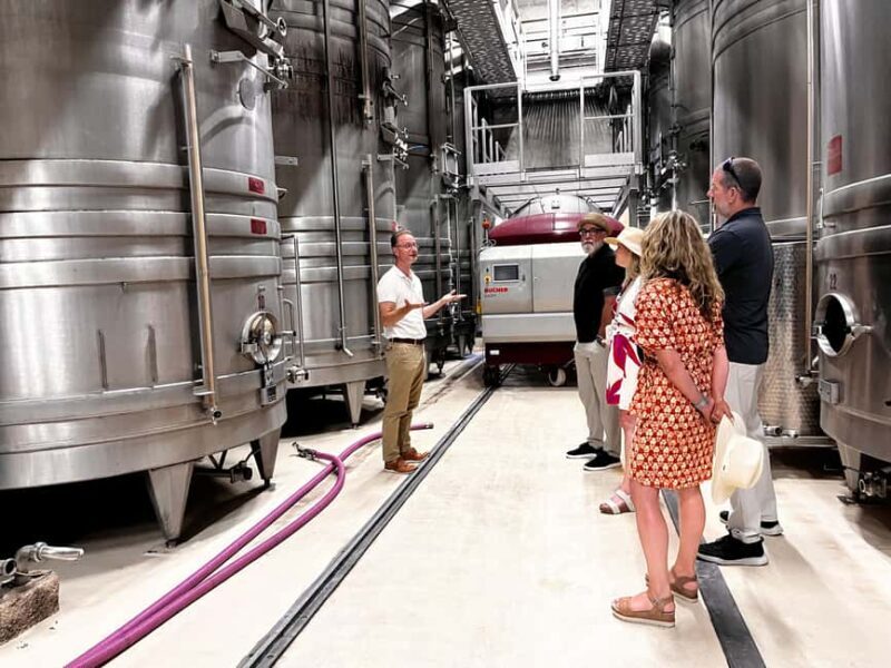 From Nice: Half-Day Wine Tour in the Bellet Wine Region - Who Is This Tour Best For?