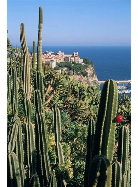 From Nice: Monaco, Monte Carlo & Eze Full-Day Tour - Exploring the Medieval Village of Eze