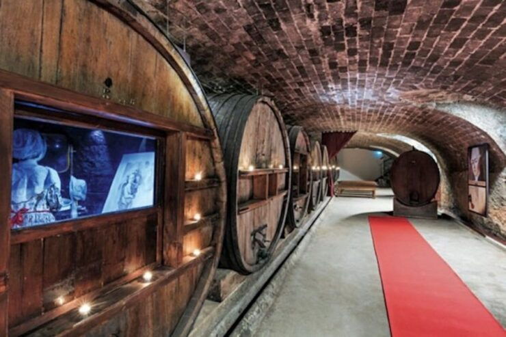 From Nice: Private Provence Wine Tasting Experience - Cancellation and Reservation