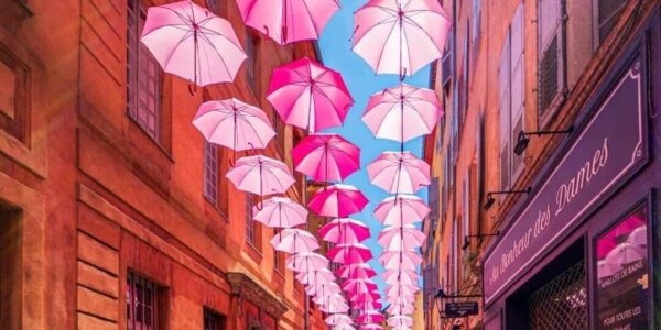 From Nice: Provence Countryside & Medieval Villages Day Trip - Language Options for Tour Guides