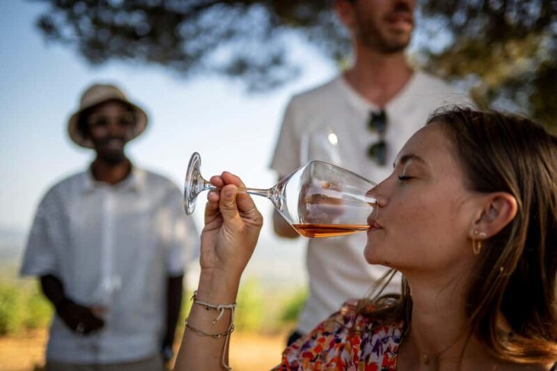 From Nice: Provence Wine Full-Day Tour - Frequently Asked Questions