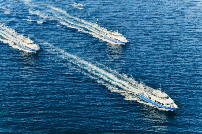 From Nice: Round-Trip Transportation to Saint Tropez by Boat - Explore the Saint Tropez Provençal Market