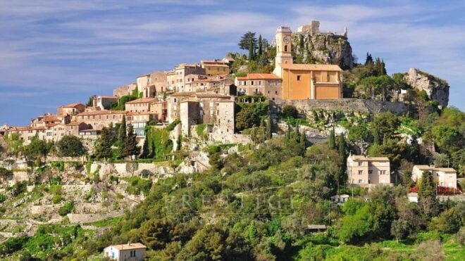From Nice: The Best of the French Riviera Full Day Tour - Discovering Cannes and Its Famous Red Carpet