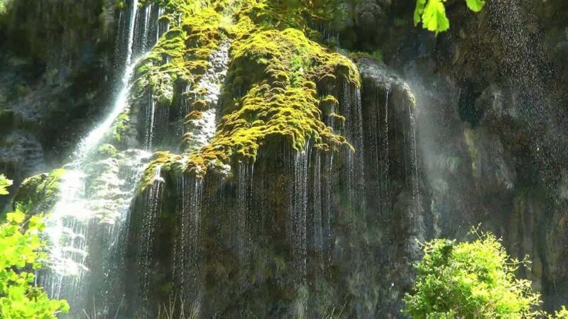 From Nice: Verdon Gorges & Lavender Fields Tour & Transport - The Guide: Knowledge and Service