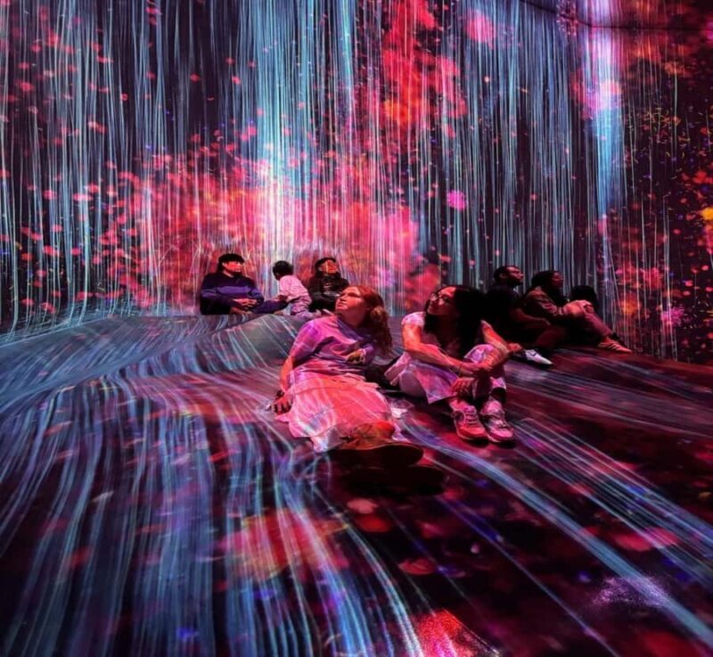 From Nikko: Tokyo Art, Architecture, and Skyline Tour - A Stylish Stroll along Omotesand